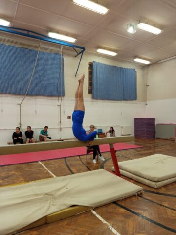 d34aa79d-873d-4303-acae-c87f6417e4f7